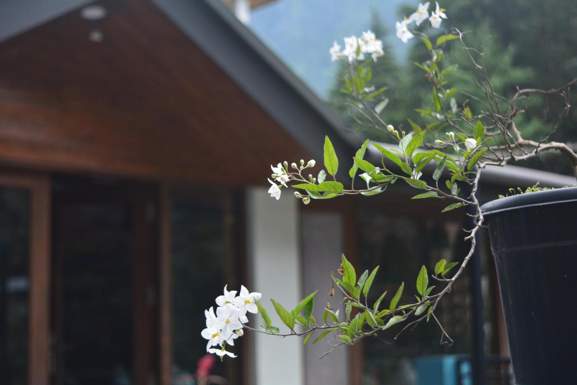 The Neelgiris Hotel Manali (Himachal Pradesh)